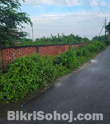 বসুন্ধরা আবাসিক এলাকায় এন ব্লকে 3 কাঠার প্লট জরুরী বিক্রয়